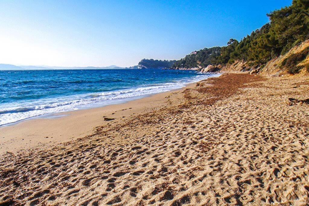 Superbe T2 Lumineux 3*** 10 Mn A Pied De La Plage Daire Le Pradet Dış mekan fotoğraf