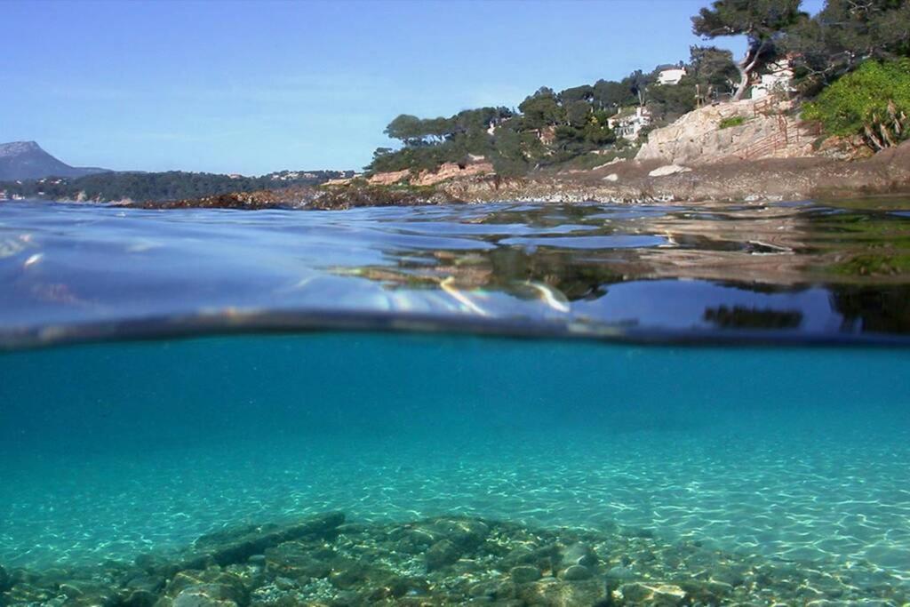 Superbe T2 Lumineux 3*** 10 Mn A Pied De La Plage Daire Le Pradet Dış mekan fotoğraf